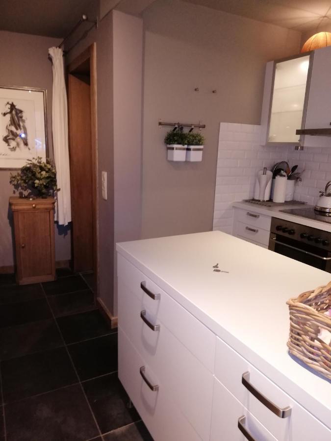 Au Charme Du 13 Faubourg De France A Bouillon Villa Kültér fotó